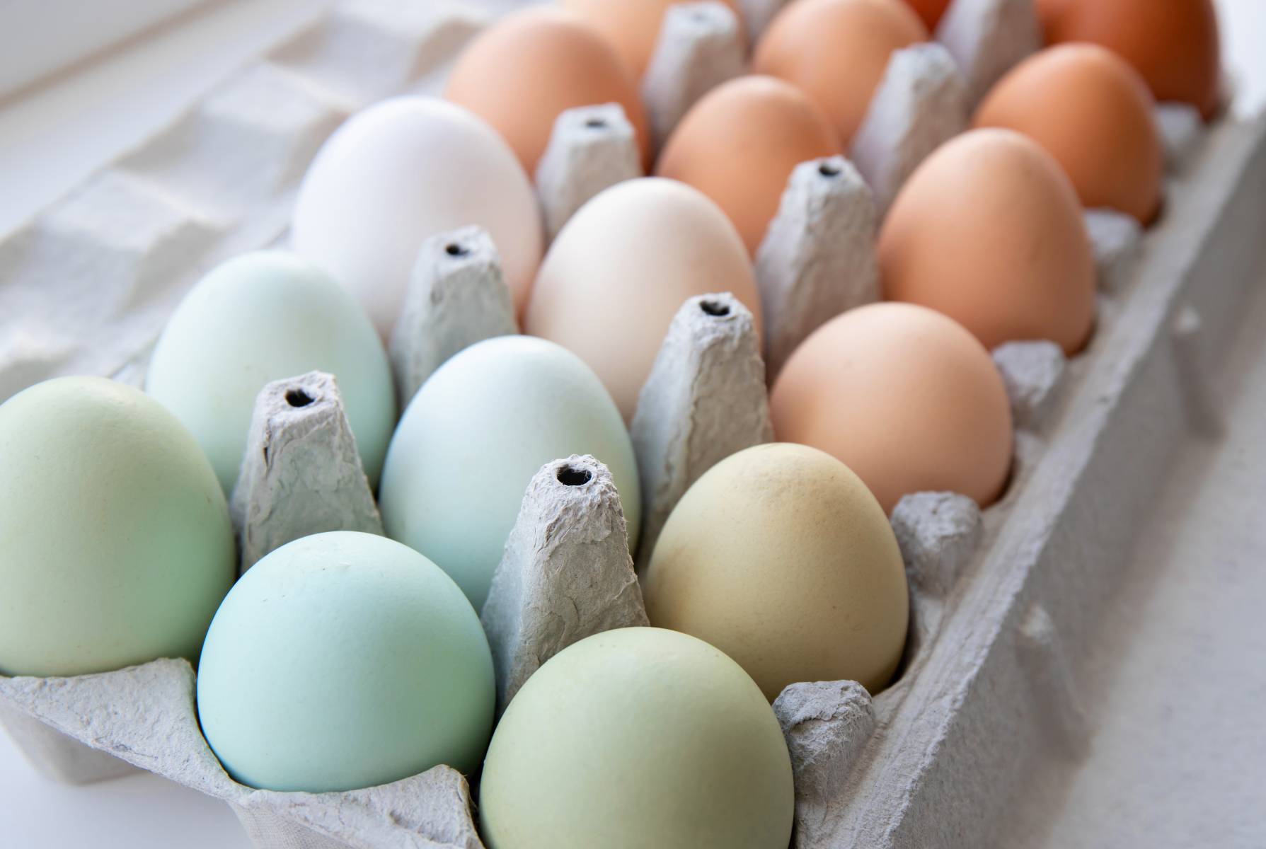 Different colored eggs on a flat