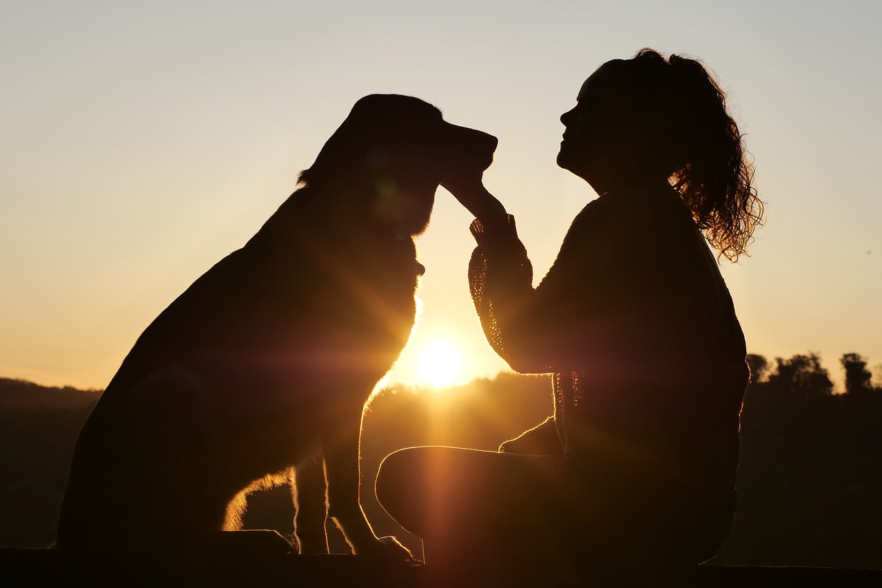 Silhouette of girl with dog