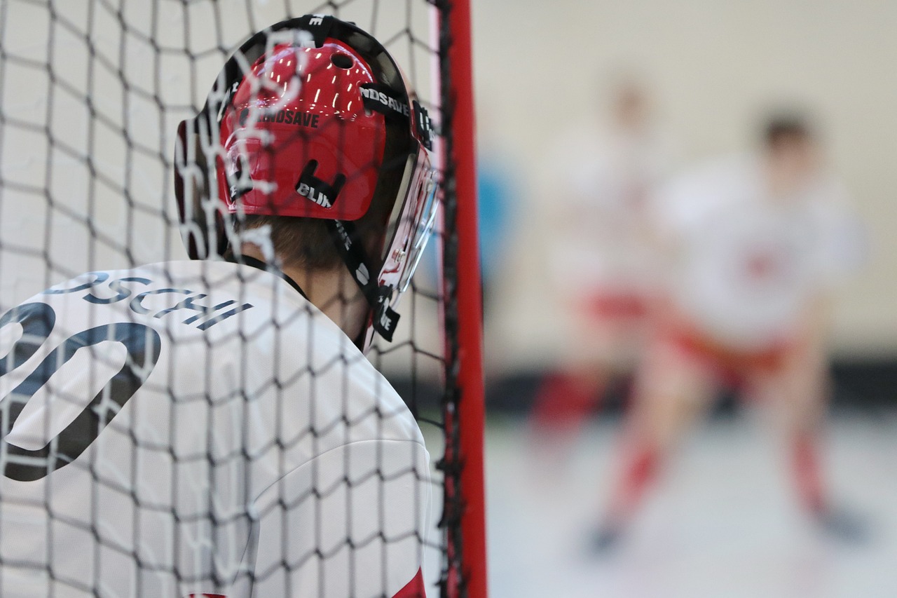 A hockey goalie infront of net